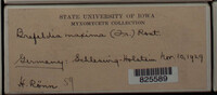Image Associated With the Occurence